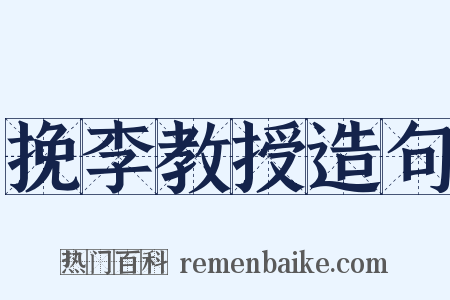 挽李教授造句是什么意思的图片